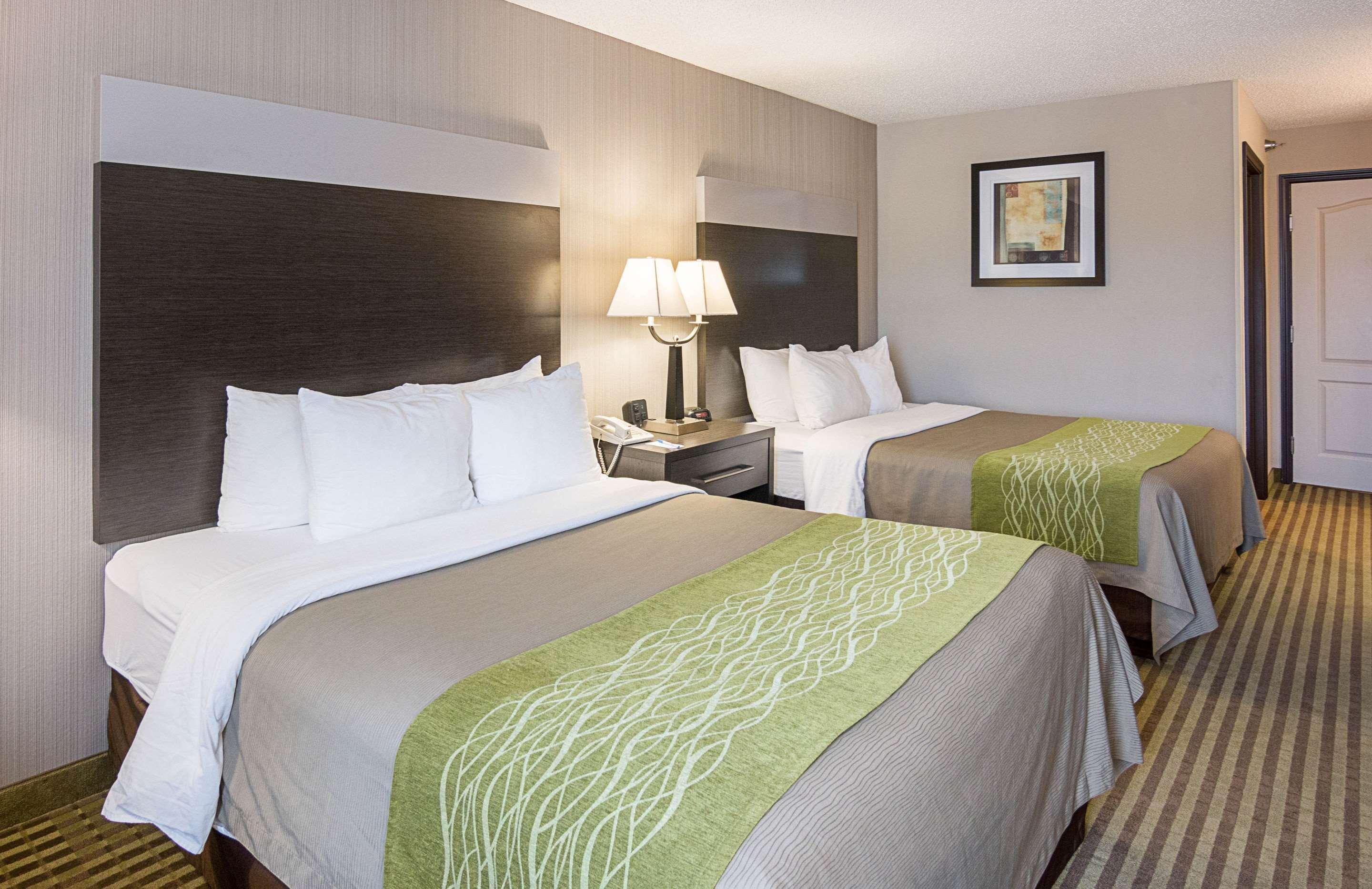 Comfort Inn Camden Kültér fotó